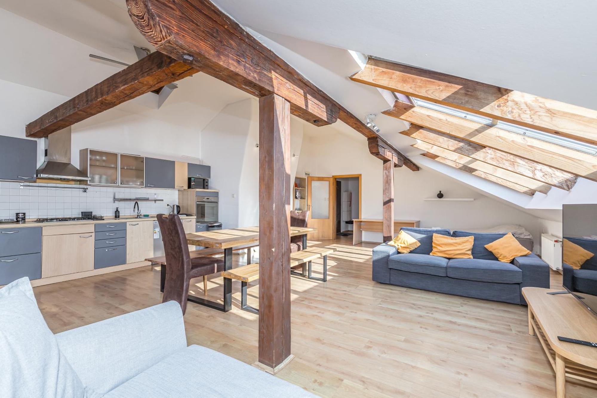 Navratilova Apartment Prague